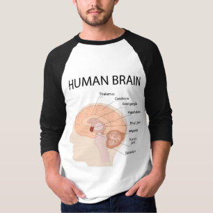 Camiseta Cérebro humano