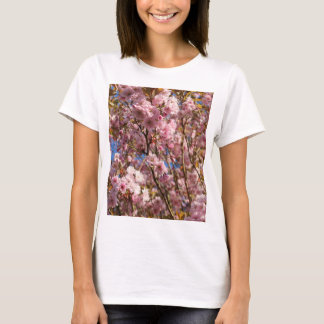 Camiseta Cerejeira rosa da primavera em flor