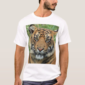Camiseta Certamente! Para um compro online que vende T-shir