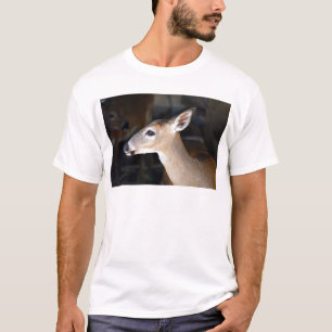 Camiseta Cervos chaves masculinos novos, Florida