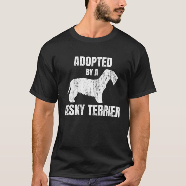 Camiseta Cesky Terrier (Frente)