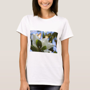 Camiseta Céu de Vidro Colorido Presentes de Magnólia do Sul