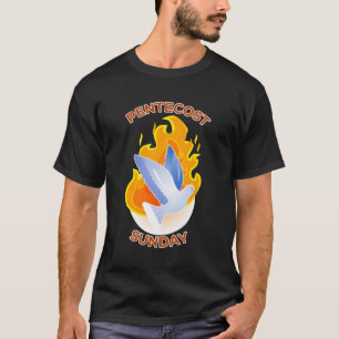 Camiseta Chamas De Renovação E Renascimento Da Porta Pentec