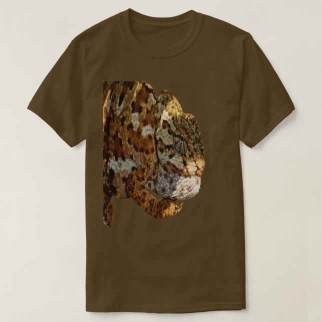 Camiseta Chameleão Prendendo-Se Num Vetor De Cerca De Fio C (Frente do Design)