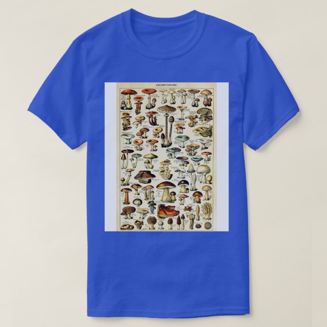 Camiseta Champignons Cogumelos Vintage Botânica Illustrati (Frente do Design)