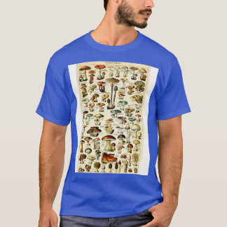 Camiseta Champignons Cogumelos Vintage Botânica Illustrati