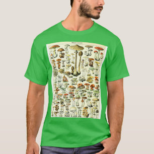 Camiseta Champignons Cogumelos Vintage Botânica Illustrati