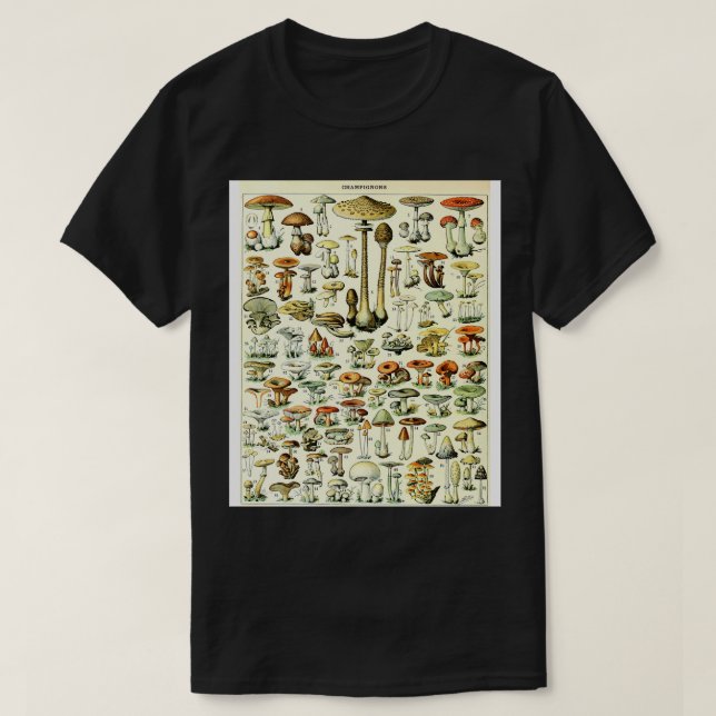 Camiseta Champignons Cogumelos Vintage Botânica Illustrati (Frente do Design)