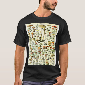Camiseta Champignons Cogumelos Vintage Botânica Illustrati
