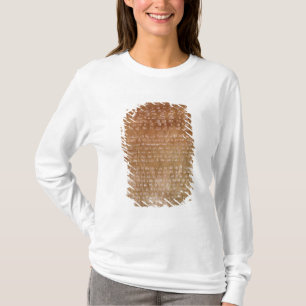 Camiseta Chapa de Darius mim 550-500 BC