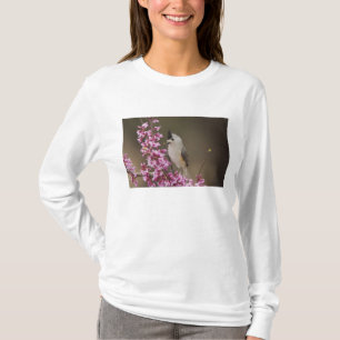 Camiseta Chapim-de-crista-preta, Baeolophus