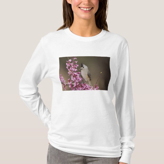 Camiseta Chapim-de-crista-preta, Baeolophus (Frente)