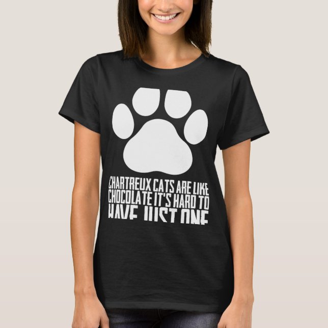Camiseta Chartreux cats Chartreux Chartreux kitten (Frente)