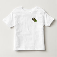 Cheeked verde Conure