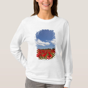 Camiseta Cheio do campo de flores vermelhas