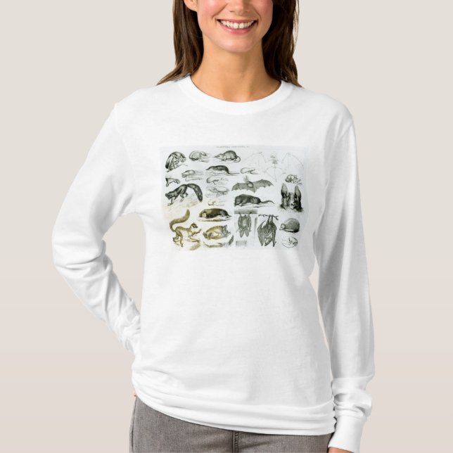 Camiseta Cheiroptera, Insectivora (Frente)