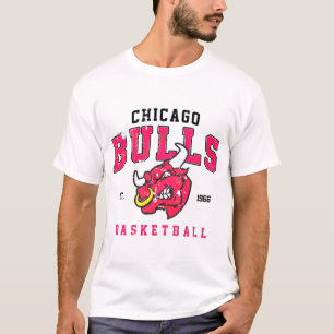 Camiseta Chicago Bullsss Vintage