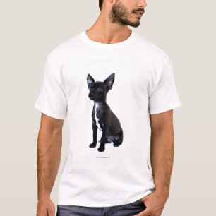 Camiseta Chihuahua