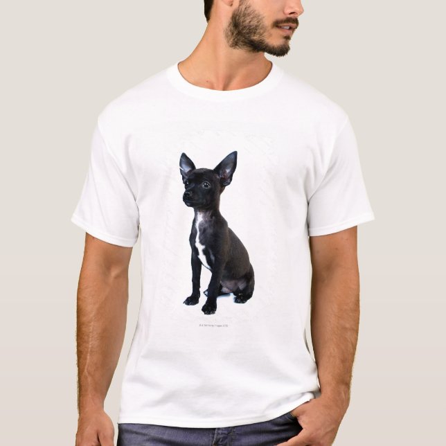 Camiseta Chihuahua (Frente)