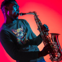 Chihuahua Dog tocando saxofone