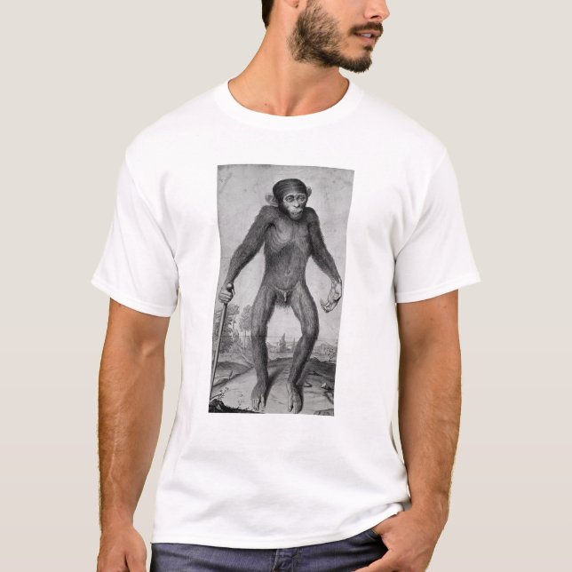 Camiseta Chimpanzé, 1699 (Frente)