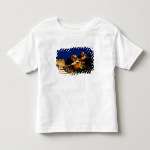 Camiseta China, Badaling, Excelente Wall, visão de