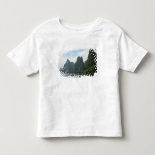 Camiseta China, Guilin, Rio Li, Barcos fluviais alinham-se