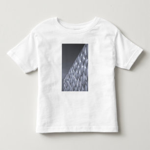 Camiseta China, Pequim. Centro Aquático Nacional