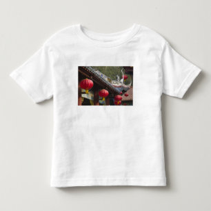 Camiseta CHINA, Província de Chongqing, Fengdu. Fantasma de