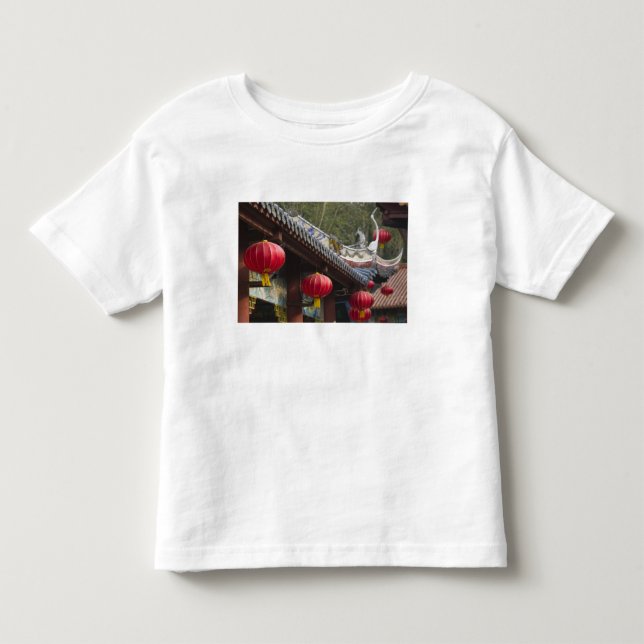 Camiseta CHINA, Província de Chongqing, Fengdu. Fantasma de (Frente)