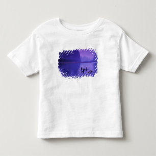 Camiseta China, Rio Li. Pescadores de corormorões.