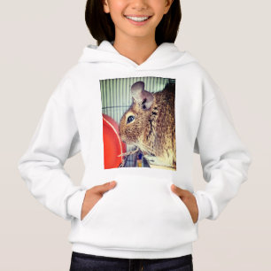 Camiseta Chinchilla