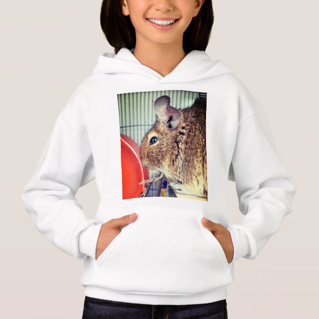 Camiseta Chinchilla (Frente)