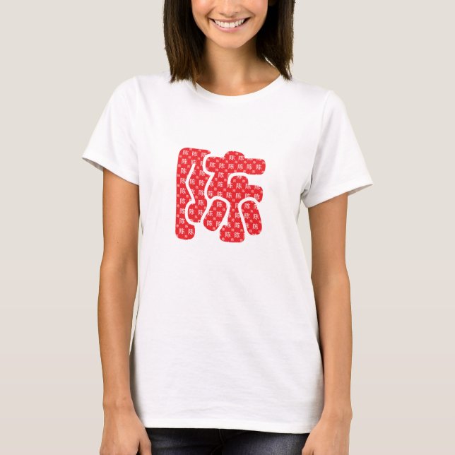 Camiseta Chinese surnames (Frente)