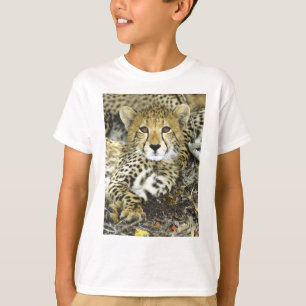 Camiseta Chita Cub 2