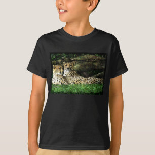 Camiseta Chitas que Lounging o Grunge