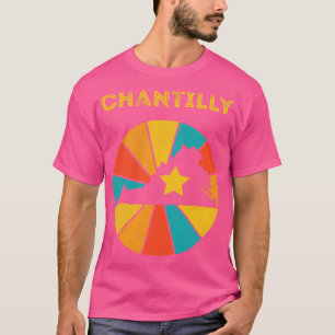 Camiseta Chlly Virginia Vintage afligida Souvenir 1