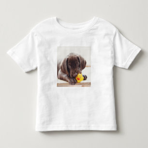 Camiseta Chocolate Labrador Com Pato De Brinquedo