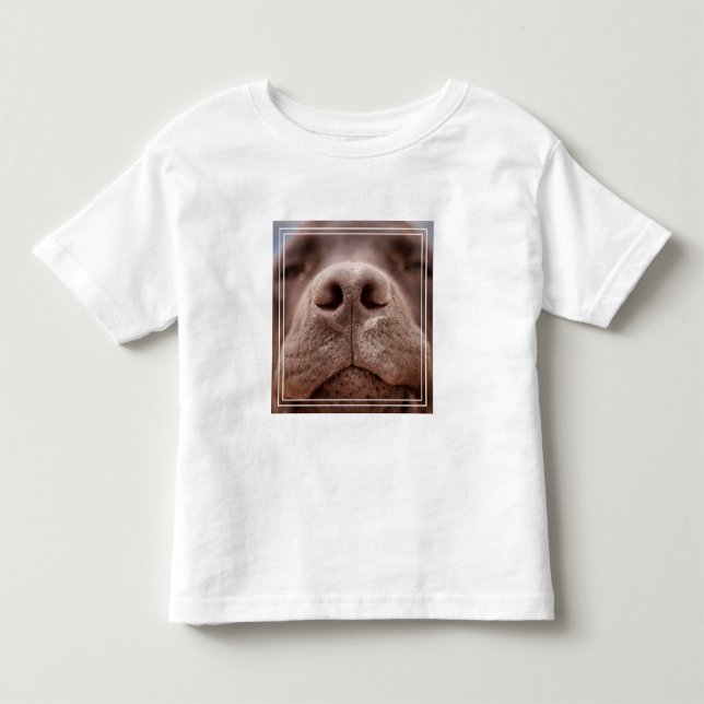 Camiseta Chocolate Labrador Nose Closeup (Frente)