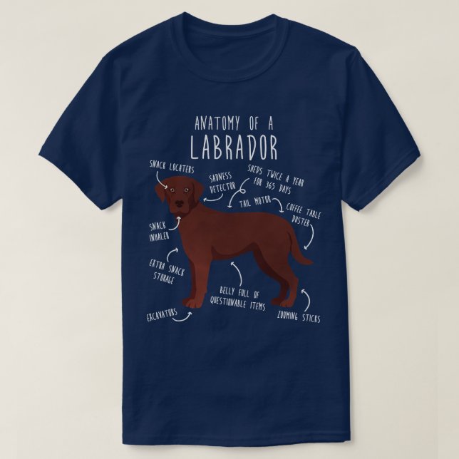 Camiseta Chocolate Labrador Retriever Dog Anatomia 1 (Frente do Design)