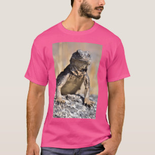 Camiseta Chuckwalla Sobre Assistir Ativo