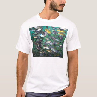 Camiseta Cichlidaes, cichlidaes, e mais cichlidaes! Peixes