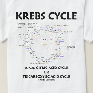 Camiseta Ciclo de Krebs (ciclo de ácido cítrico -