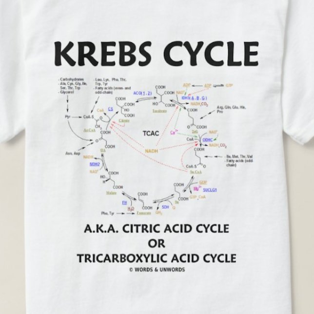 Camiseta Ciclo De Krebs (Ciclo Do Ácido Cítrico - Bioquímic (Krebs cycle tee for those who know that it's one of the most important organic cycles for our energy)