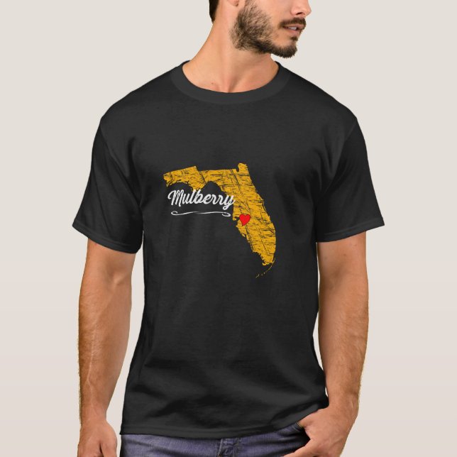 Camiseta Cidade De Mulberry Flórida Fl Merch Souvenir Graph (Frente)