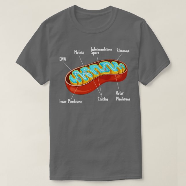Camiseta Ciência da Biologia Celular Mitocôndria (Frente do Design)