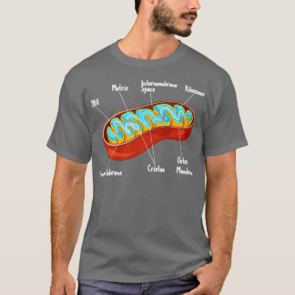 Camiseta Ciência da Biologia Celular Mitocôndria