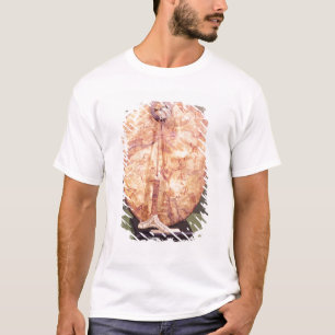 Camiseta Cilindro, Lapland