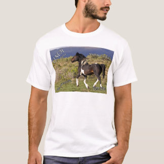 Camiseta Cinch