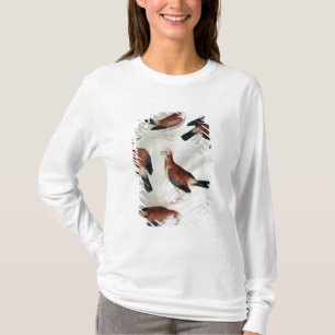 Camiseta Cinco Jays, do álbum de Vallardi
